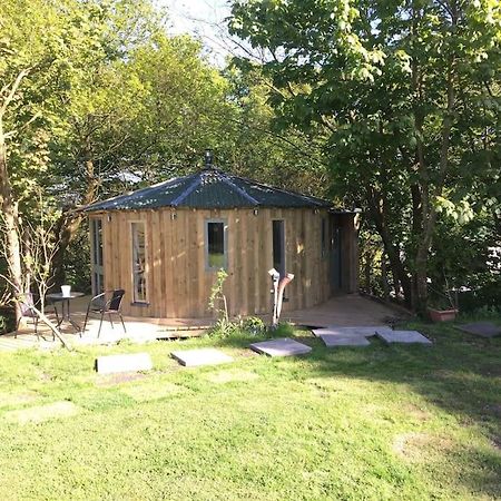 The Roundhouse - Unique Space Nestled In The Trees Begelly Buitenkant foto